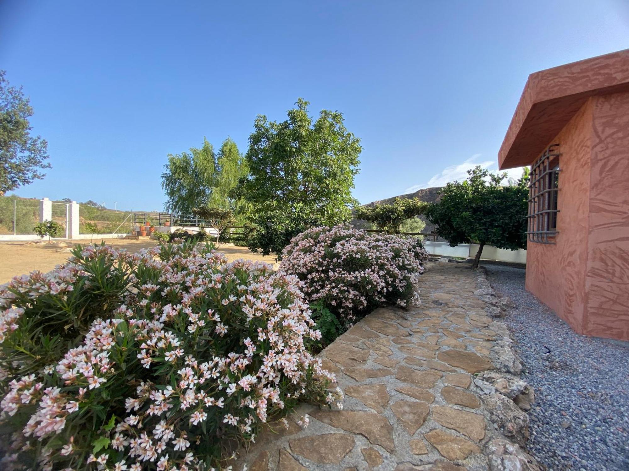 Villa Elisabeth Granada Bagian luar foto